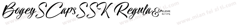 BogeySCapsSSK Regula字体转换